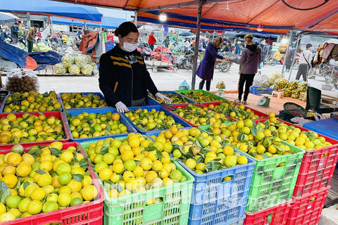 Chợ đêm thành phố Tuyên Quang hoạt động nền nếp
