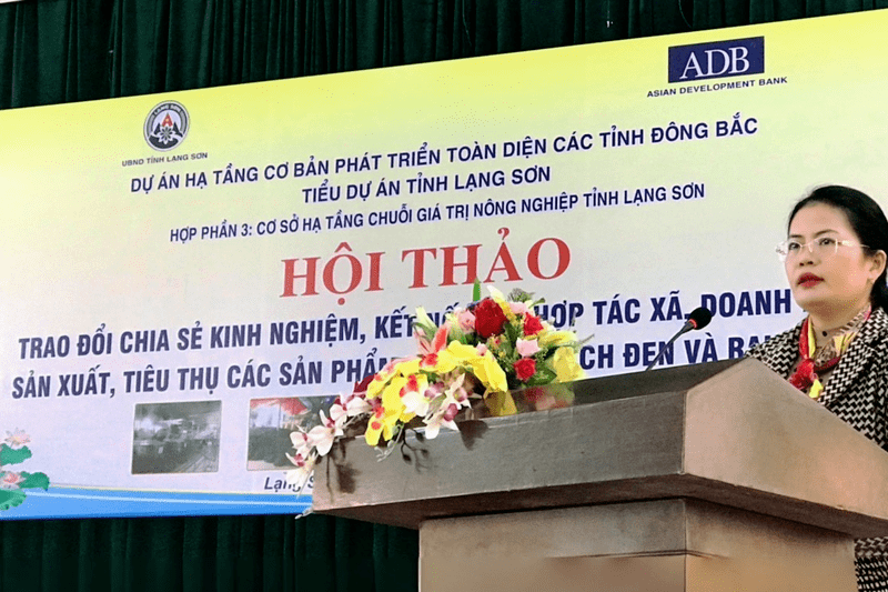 Hội thảo trao đổi, chia sẻ kinh nghiệm hỗ trợ tiếp cận thị trường, xúc tiến thương mại sản phẩm nông nghiệp tỉnh Lạng Sơn